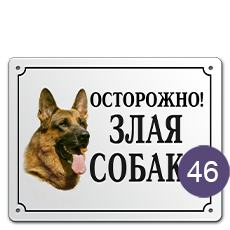 Табличка «Осторожно, злая собака» № 46